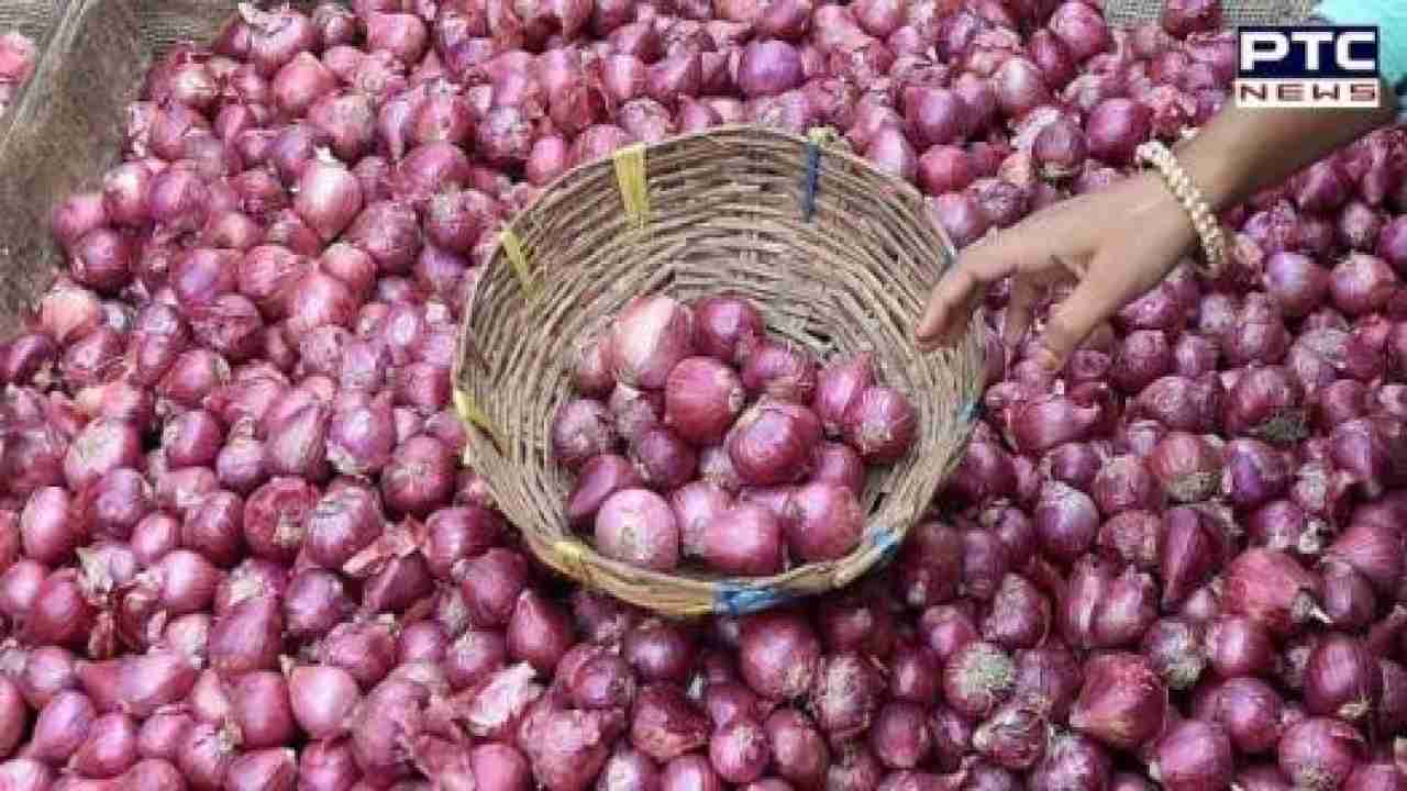 Onion Price : ਪਿਆਜ਼ ਦੀਆਂ ਕੀਮਤਾਂ 'ਤੇ ਕਾਬੂ ਪਾਉਣ ਲਈ ਸਰਕਾਰ ਨੇ ਬਣਾਈ ਨਵੀਂ ਯੋਜਨਾ, ਤਰੀਕਾ ਦੇਖ ਕੇ ਹੋ ਜਾਓਗੇ ਹੈਰਾਨ...