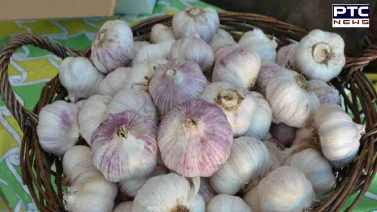 Why have garlic prices doubled to Rs 400/kg in recent days?