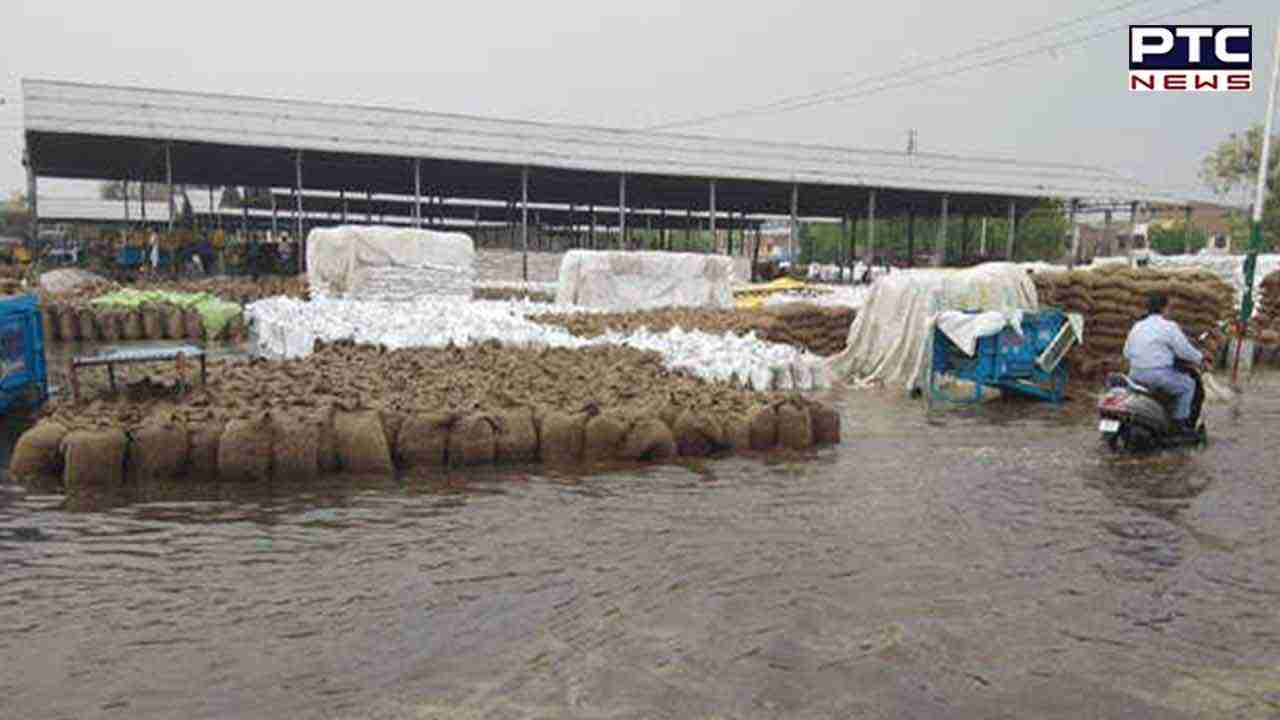 ਪੰਜਾਬ 'ਚ 107 ਕਰੋੜ ਦੀ ਤਰਪਾਲ ਦੀ ਖਰੀਦ ਦਾ ਮਾਮਲਾ ਭਖਿਆ, ਜਾਂਚ ਹੋਈ ਸ਼ੁਰੂ