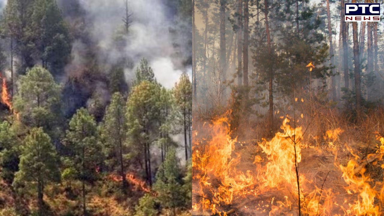 Uttarakhand forest fires: 5 people dead; action against 17 officials for 'negligence'
