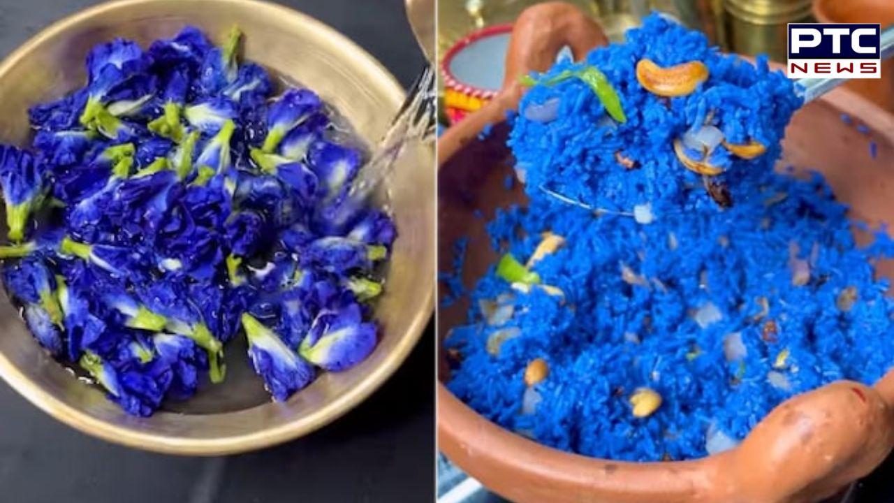 Internet divided over 'Avatar Biryani' video featuring blue-coloured ghee rice