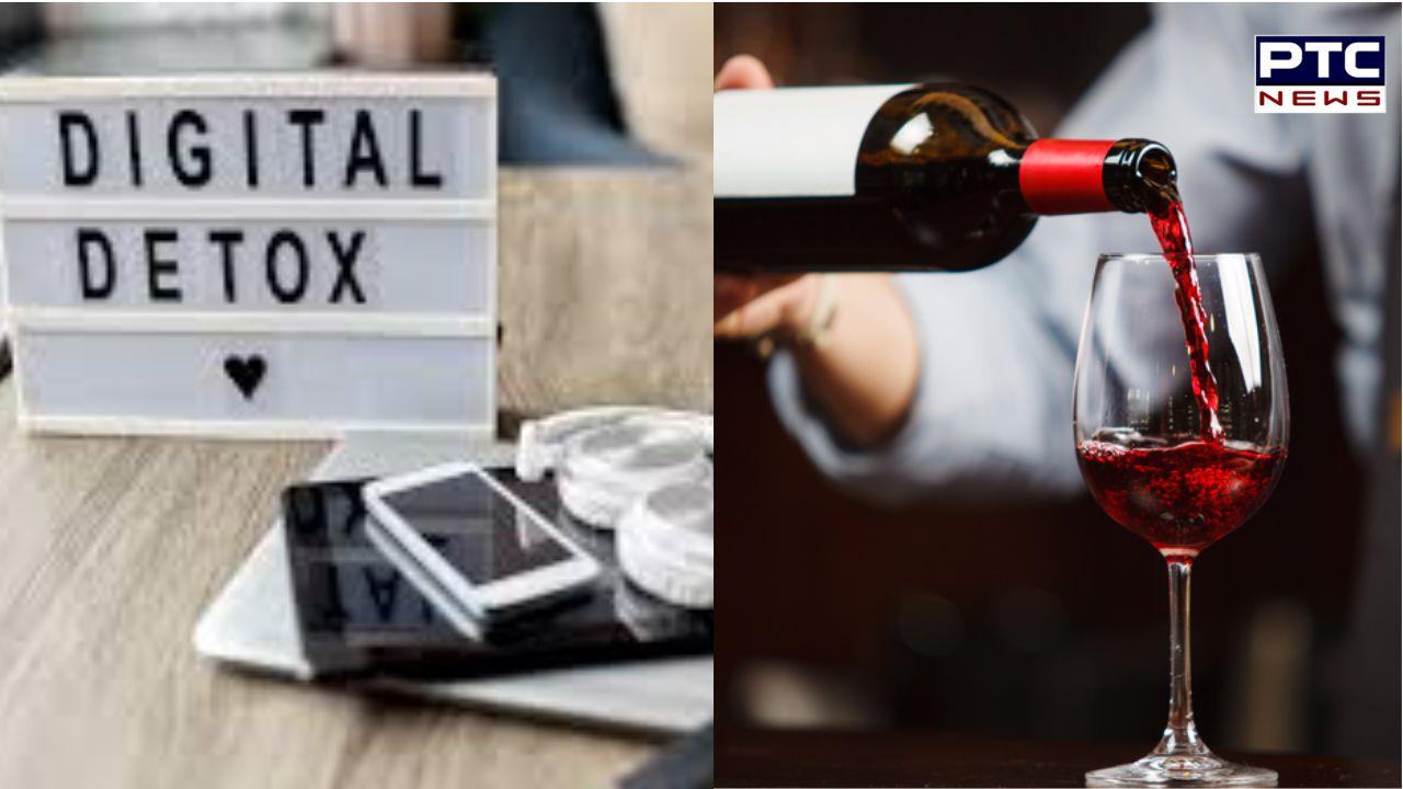 Digital detox: Leave your phone at the door to get free bottle of wine