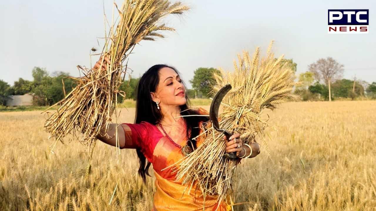 ਲੋਕ ਸਭਾ ਦੇ ਰੰਗ: ਤਿੱਖੀ ਧੁੱਪ 'ਚ ਨਿਕਲੀ ਹੇਮਾ ਮਾਲਿਨੀ, ਖੇਤਾਂ 'ਚ ਕੱਟੀ ਕਣਕ, ਵੇਖੋ ਤਸਵੀਰਾਂ