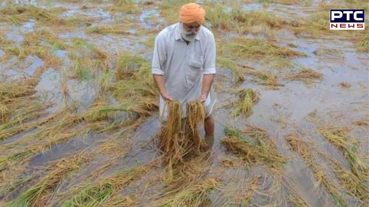 Punjab and Haryana to witness wet spell till April 25; farmers worried
