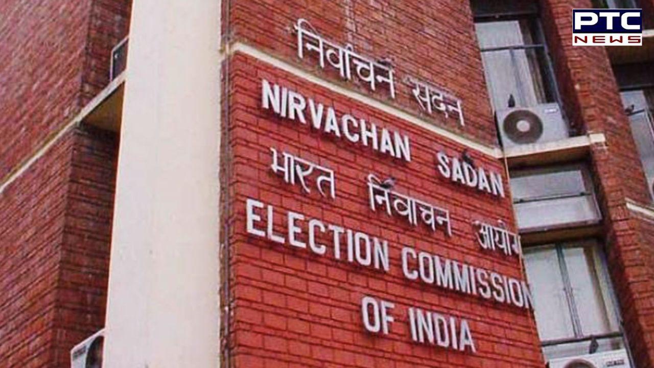 Lok Sabha Elections 2024: EC forms task force to review heatwave during polls