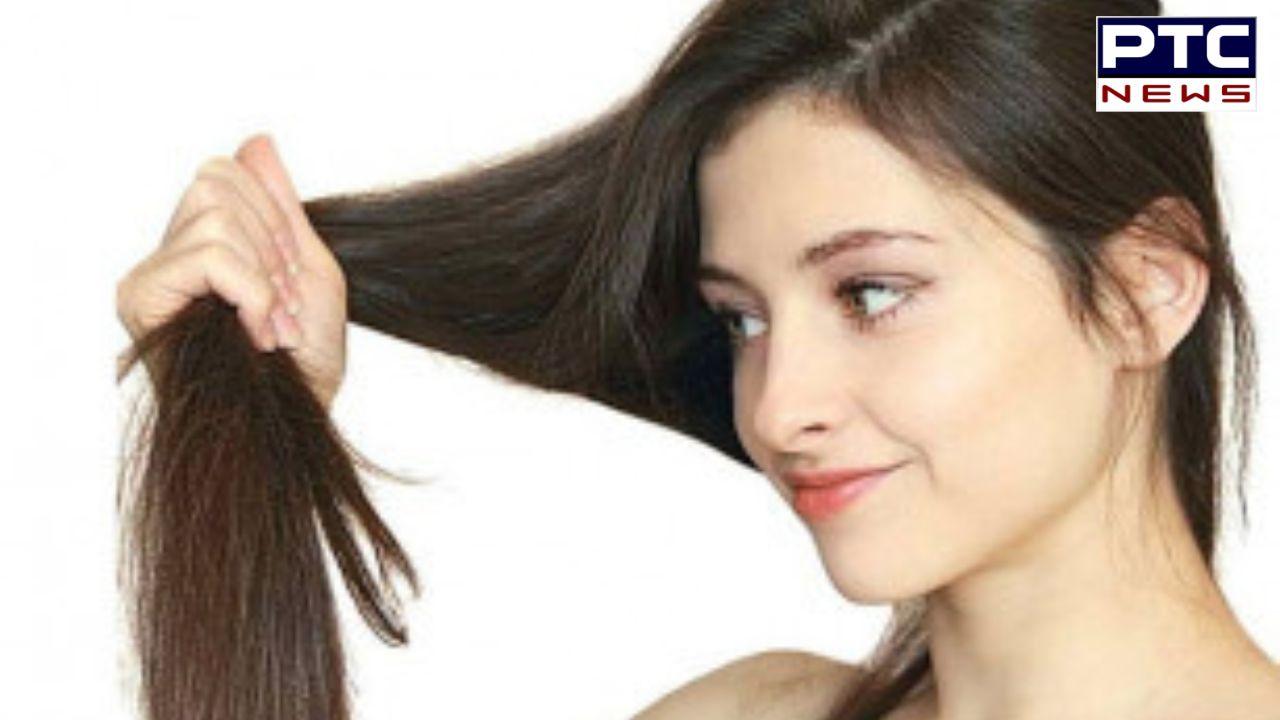Healthy Hair Tips: ਗਰਮੀ 'ਚ ਆਪਣੇ ਵਾਲਾਂ ਨੂੰ ਸਿਹਤਮੰਦ ਰੱਖਣ ਲਈ ਅਪਣਾਓ ਇਹ ਘਰੇਲੂ ਹੇਅਰ ਮਾਸਕ, ਮਿਲੇਗਾ ਫਾਇਦਾ
