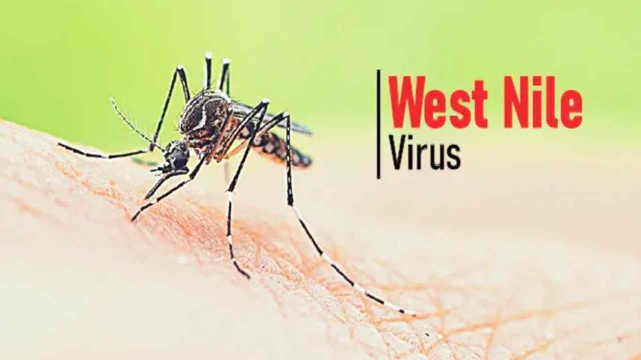 West Nile Fever in Kerala: केरल में वेस्ट नाइल फीवर का प्रकोप, कोझिकोड जिले में मिले 5 मामले, स्वास्थ्य विभाग अलर्ट