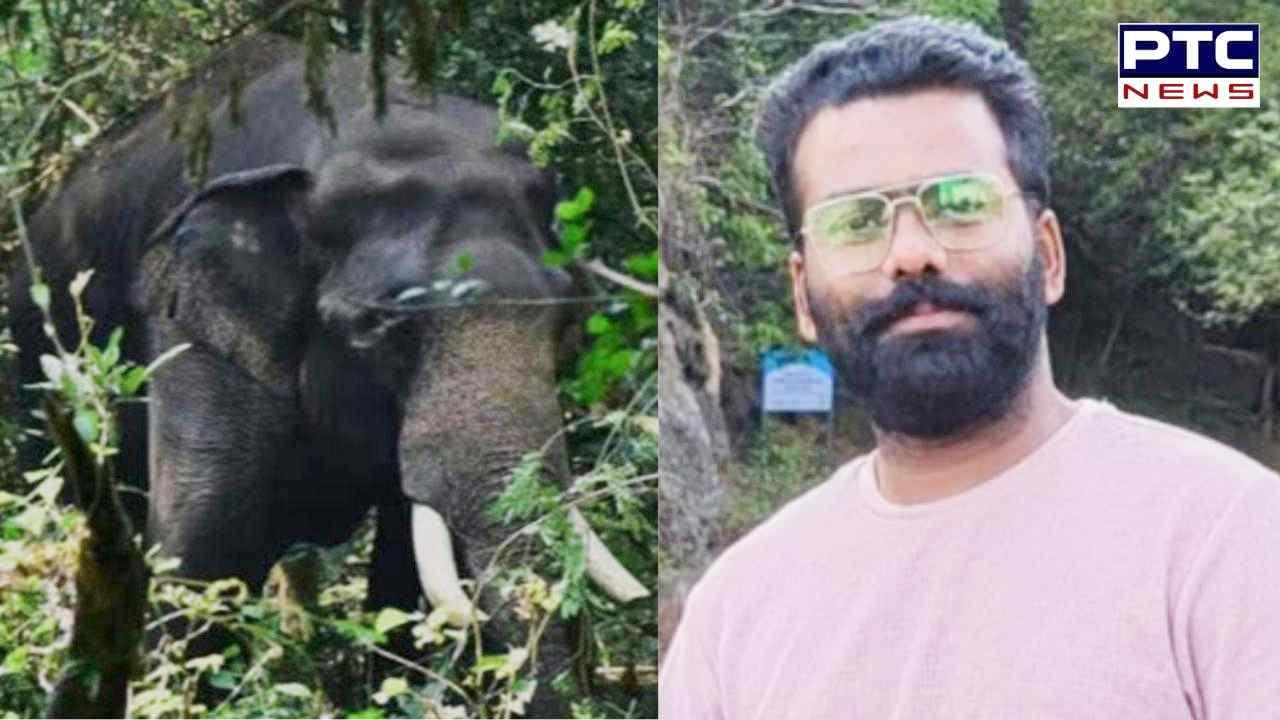 केरल में हाथी के हमले में टीवी पत्रकार की मौत, वीडियो शूट के दौरान हुआ हादसा
