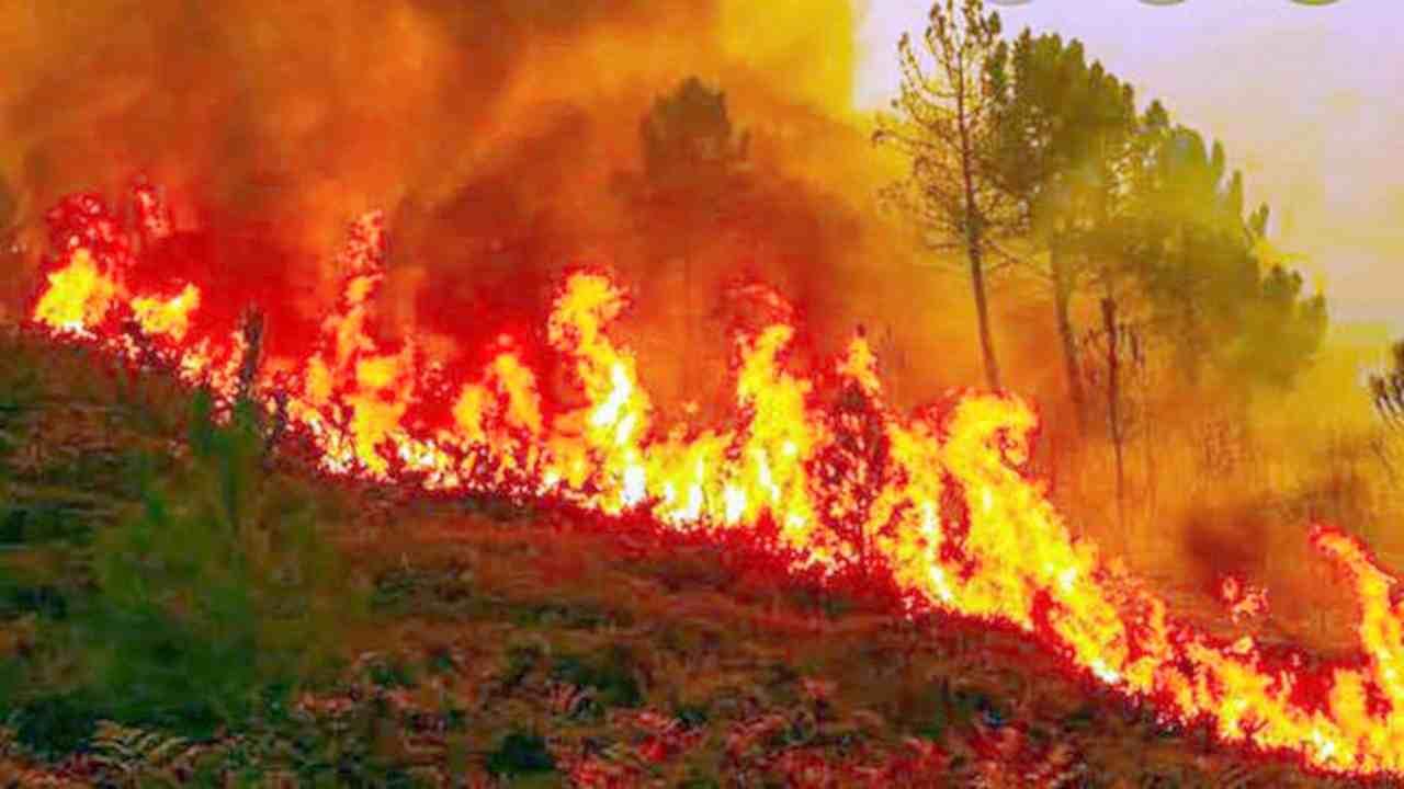 Uttarakhand Forest Fire: चमोली में आगजनी को बढ़ावा देने के आरोप में बिहार के 3 लोग गिरफ्तार