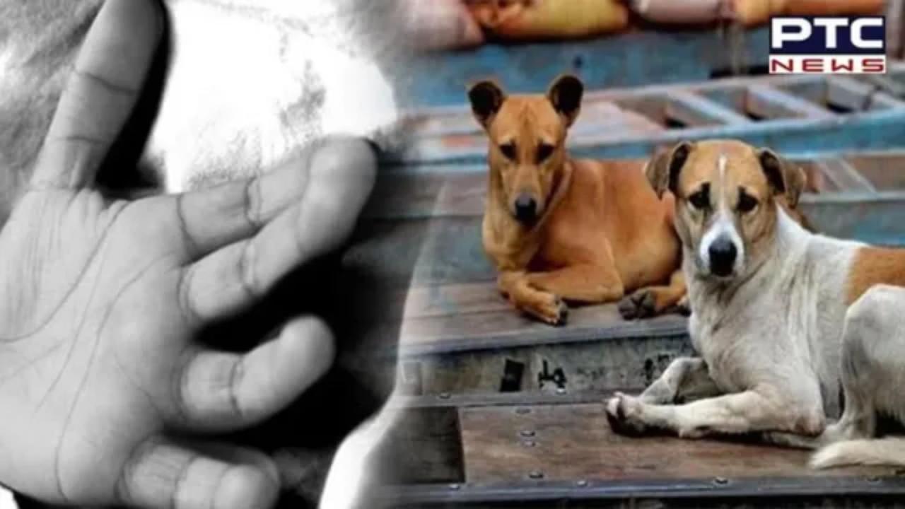 Telangana horror: 5-month-old baby mauled to death by dog in Vikarabad