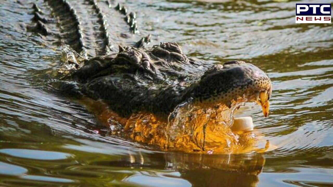 Karnataka: Woman throws disabled son into crocodile infested river after quarrel with husband