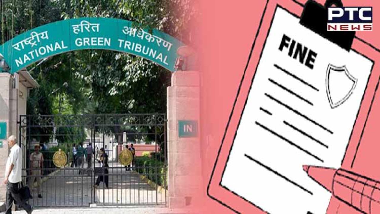 NGT fines Prayagraj for delaying status report on sewage discharge into Ganga, Yamuna