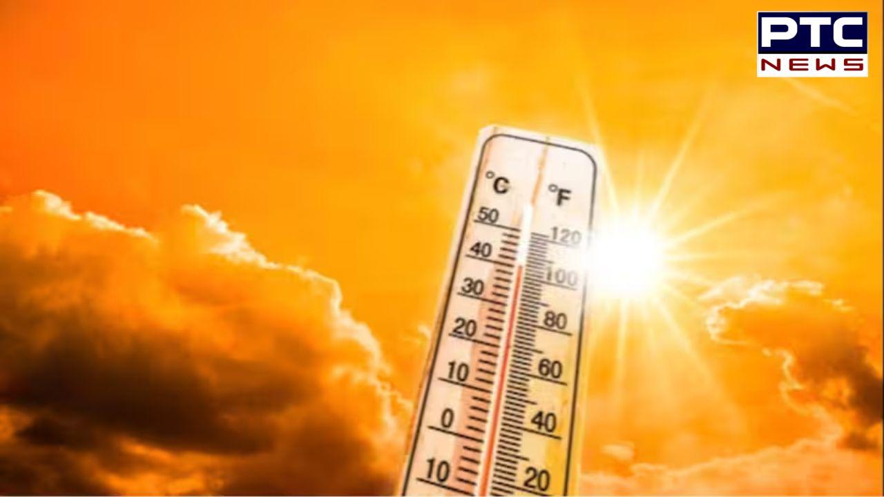 Heatwave 2024 | No respite from scorching heat in Rajasthan ; 12 dead