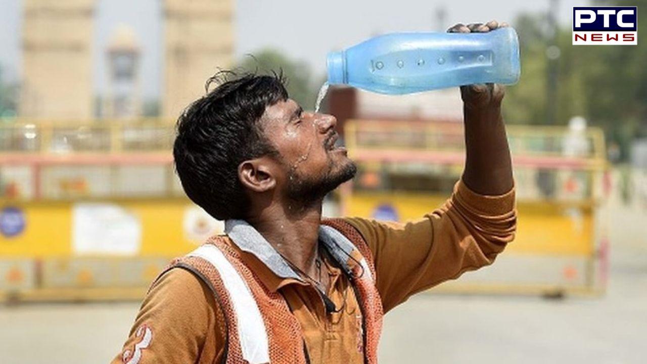 Heatwave refuses to abate: Rajasthan's Phalodi burns at 49.8 Degrees, highest in country