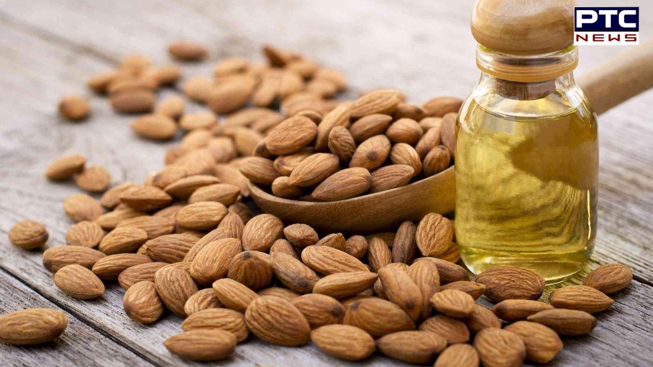 Almond Oil Benefits: ਗੁਣਾਂ ਦੀ ਔਸ਼ਧੀ ਹੈ ਬਾਦਾਮ ਦਾ ਤੇਲ, ਕਈ ਸਮੱਸਿਆਵਾਂ ਨੂੰ ਕਰਦਾ ਹੈ ਦੂਰ, ਜਾਣੋ ਕੀ ਹੁੰਦੇ ਹਨ ਫਾਇਦੇ