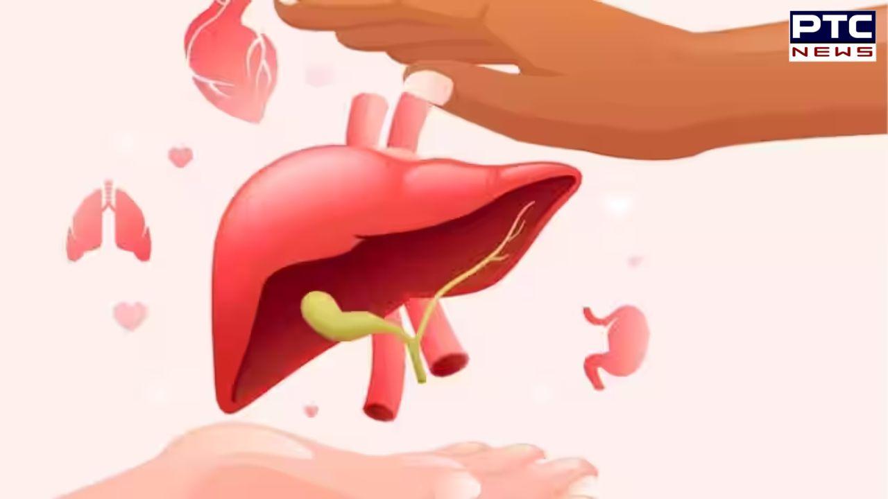 Fatty Liver : ਫੈਟੀ ਲੀਵਰ ਨਾਲ ਹੋ ਸਕਦੀਆਂ ਹਨ ਗੰਭੀਰ ਬਿਮਾਰੀਆਂ, ਜਾਣੋ ਕਿਵੇਂ ਕੀਤਾ ਜਾ ਸਕਦਾ ਹੈ ਬਚਾਅ