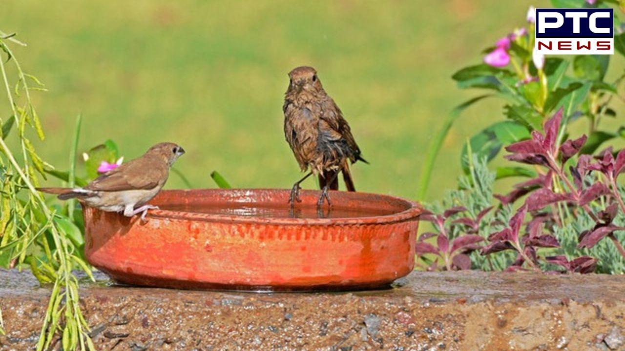 India heatwave 2026: 19 of world’s 20 hottest cities in India, temperatures cross 44°C