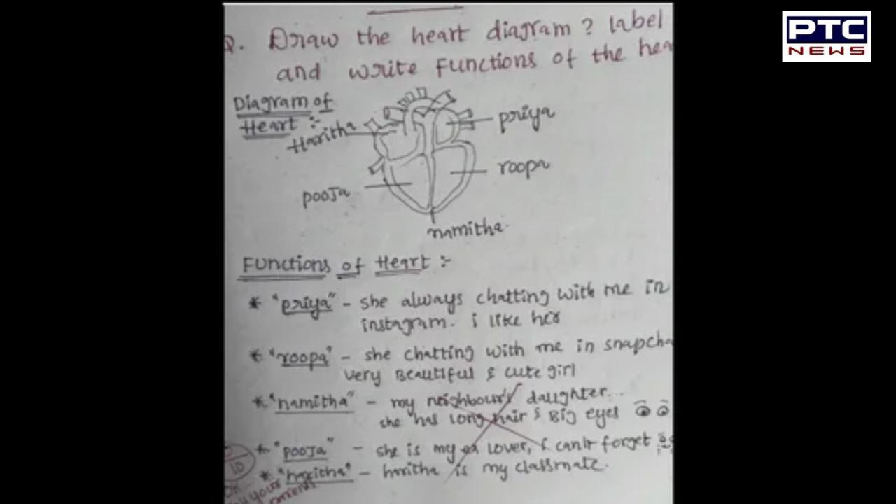 Student’s hilariously honest heart diagram goes viral, internet can't stop laughing