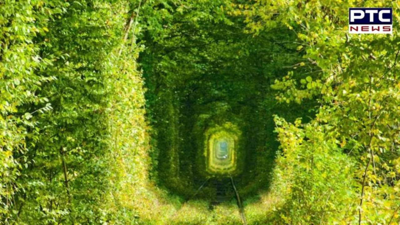 ਪਿਆਰ ਕਰਨ ਵਾਲਿਆਂ ਦੀ ਤਕਦੀਰ ਬਦਲਦੀ ਹੈ ਇਹ 'Love Tunnel', ਖੂਬਸੂਰਤੀ ਵੇਖ ਲੋਕ ਆਉਂਦੇ ਹਨ ਫੋਟੋਸ਼ੂਟ ਕਰਵਾਉਣ