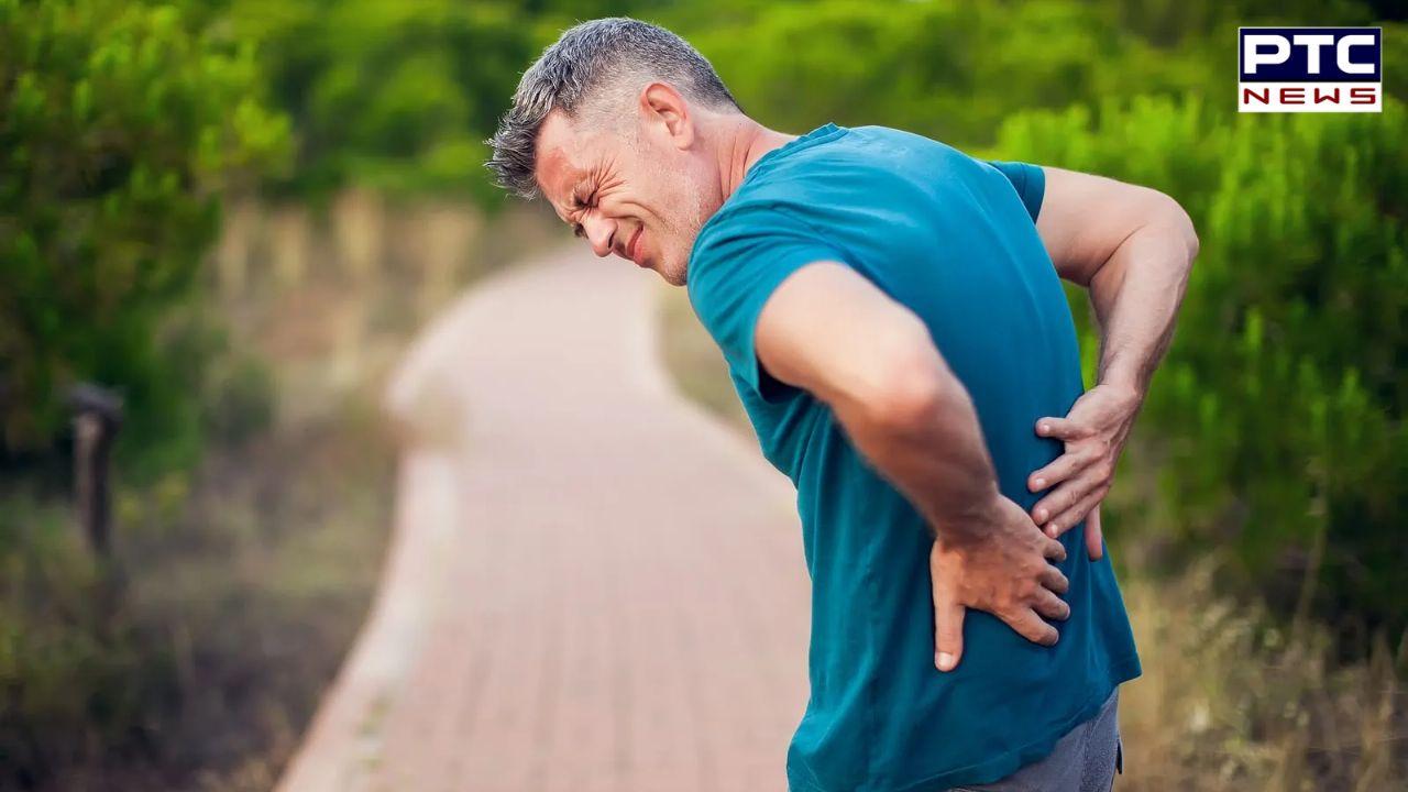 Bone And Joint Pain : ਬਰਸਾਤ ਦੇ ਮੌਸਮ 'ਚ ਹੱਡੀਆਂ ਤੇ ਮਾਸਪੇਸ਼ੀਆਂ 'ਚ ਦਰਦ ਸ਼ੁਰੂ ਹੋ ਜਾਂਦਾ ਹੈ? ਤਾਂ ਅਪਨਾਓ ਇਹ ਨੁਸਖੇ