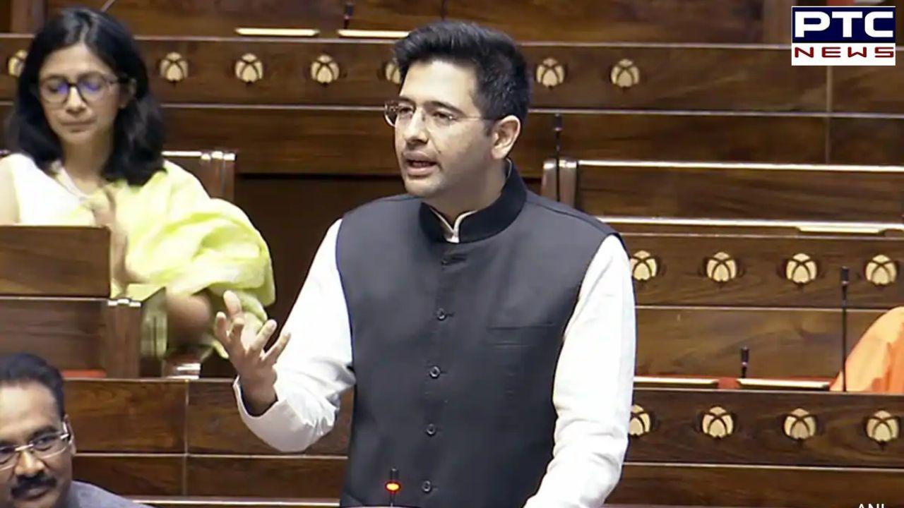 Parliament Session 2024: Raghav Chadha makes strong pitch for reducing minimum age for contesting elections to 21