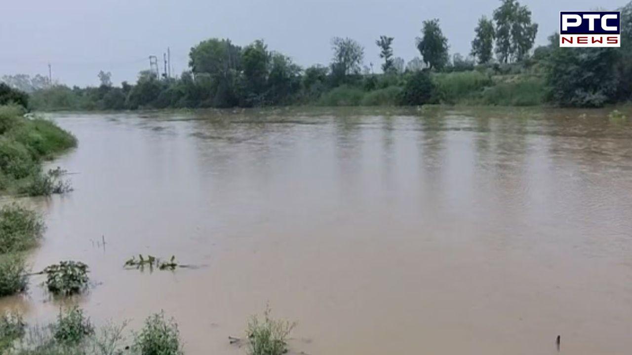 Himachal Rains : ਪੰਜਾਬ 'ਚ ਮੰਡਰਾਉਣ ਲੱਗੇ ਤਬਾਹੀ ਦੇ ਬੱਦਲ! ਘੱਗਰ 'ਚ ਵਧਿਆ ਪਾਣੀ ਦਾ ਪੱਧਰ