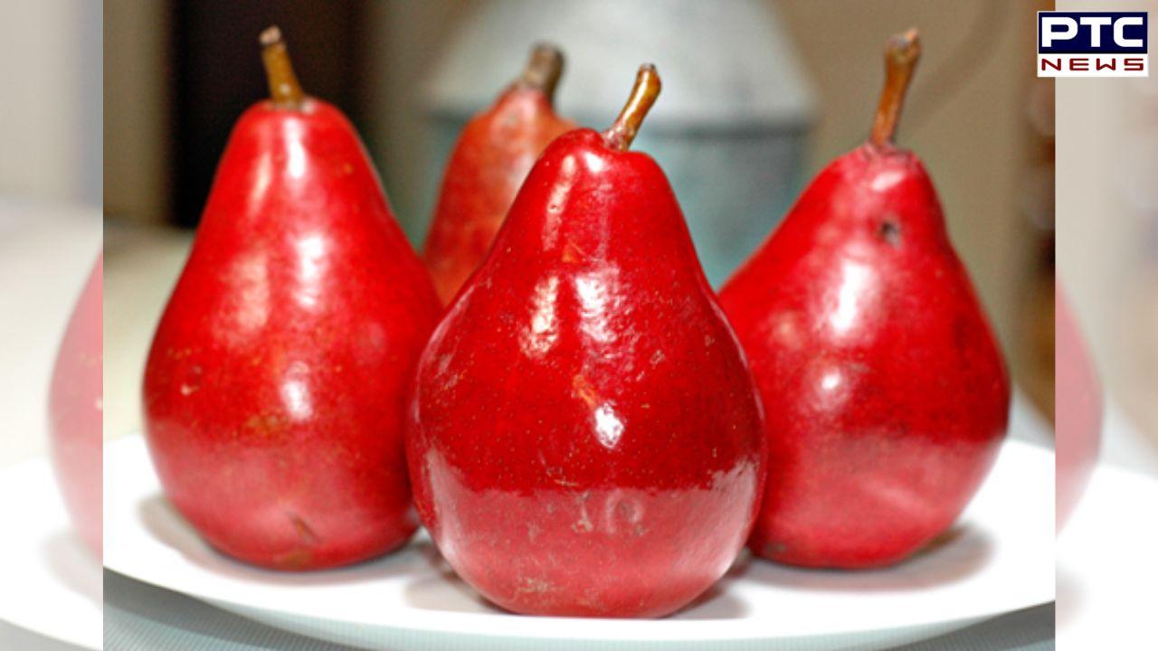 Red Pears Benefits : ਕਈ ਸਿਹਤ ਸਮੱਸਿਆਵਾਂ ਨੂੰ ਦੂਰ ਕਰਨ 'ਚ ਲਾਹੇਵੰਦ ਹੈ ਲਾਲ ਨਾਸ਼ਪਾਤੀ ਦਾ ਸੇਵਨ