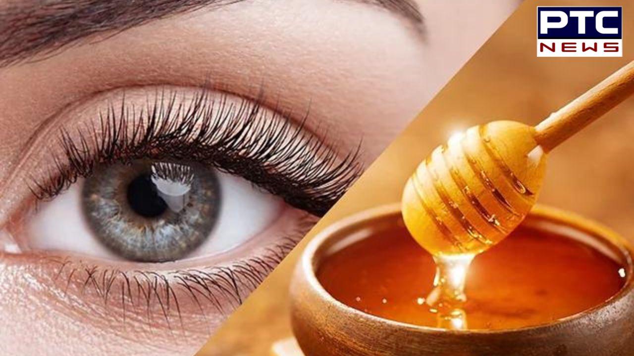 Honey Benefits : ਅੱਖਾਂ 'ਚ ਸ਼ਹਿਦ ਦੀਆਂ ਬੂੰਦਾਂ ਪਾਉਣਾ ਫਾਇਦੇਮੰਦ ਹੁੰਦਾ ਹੈ ਜਾਂ ਨਹੀਂ ? ਜਾਣੋ