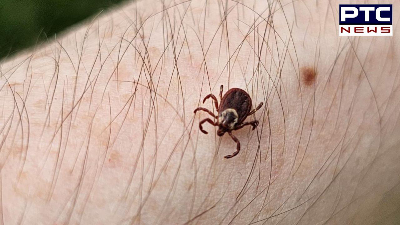 Lyme Disease : ਇੱਕ ਕੀੜਾ ਲੈ ਸਕਦੈ ਤੁਹਾਡੀ ਜਾਨ ! ਜਾਣੋ ਕੀ ਹੈ ਲਾਈਮ ਬਿਮਾਰੀ ?