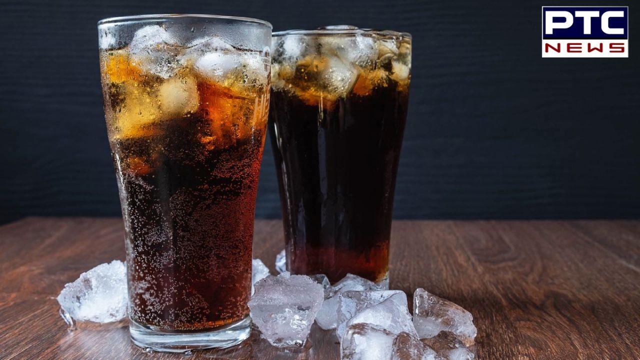 Diet Soft Drinks : ਕੀ ਸਿਹਤਮੰਦ ਹੁੰਦਾ ਹੈ ਡਾਇਟ ਸਾਫਟ ਡਰਿੰਕ ? ਜਾਣੋ