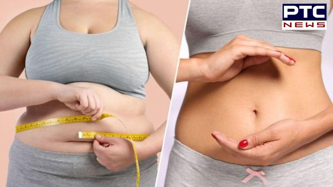 Belly Fat Reduce :  ਦਫਤਰ ਹੋਵੇ ਜਾਂ ਘਰ, ਹਰ 2 ਘੰਟੇ ਬਾਅਦ ਕਰੋ ਇਹ ਕੰਮ, ਪੇਟ ਦੀ ਚਰਬੀ ਵਧਣ ਦੀ ਨਹੀਂ ਹੋਵੇਗੀ ਚਿੰਤਾ