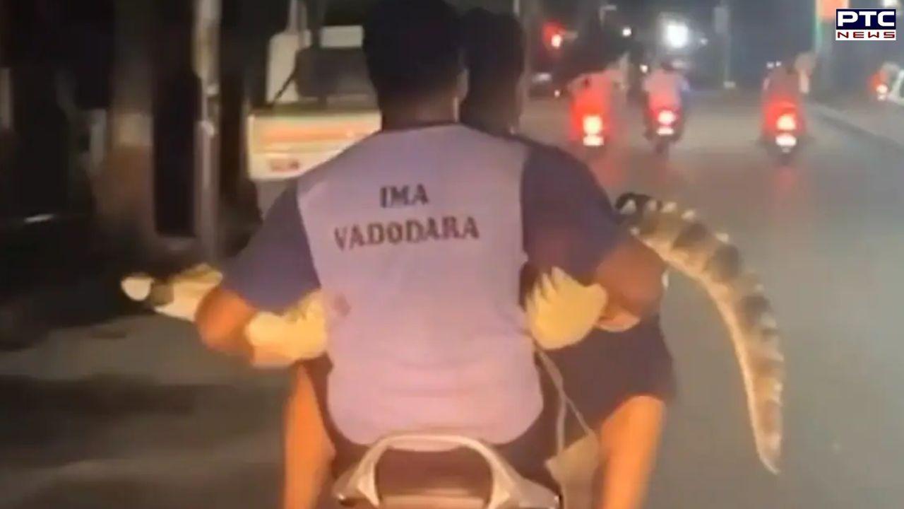 WATCH | Video showing 2 men carrying rescued crocodile on scooter goes viral