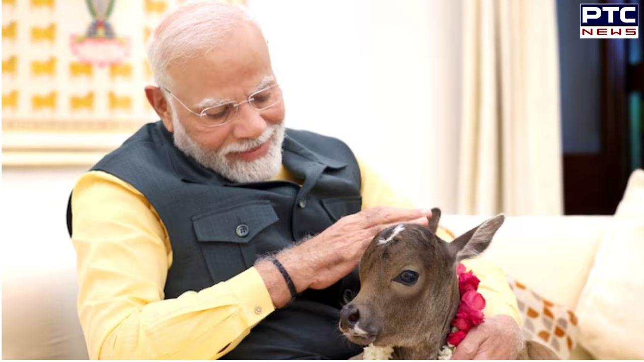 Meet baby Deepjyoti, a new member at PM Modi's residence | Watch video