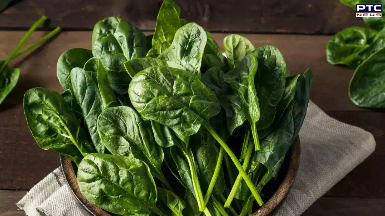 5 Reasons to Add Spinach to Your Diet  Stories PTC News
