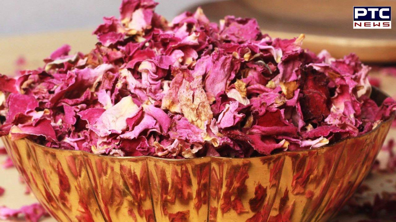 Rose Petals Benefits : ਗੁਲਾਬ ਦੇ ਪੱਤੇ ਖਾਣ ਦੇ ਕੀ ਹਨ ਲਾਭ, ਜਾਣੋ 5 ਵੱਡੇ ਫਾਇਦੇ