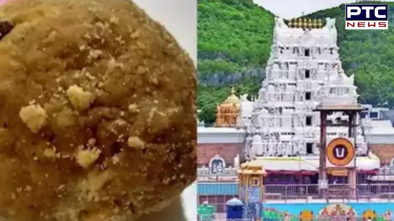 Tirupati Laddu Row: Tirumala temple to conduct 'shuddhikaran pooja' for spiritual cleansing