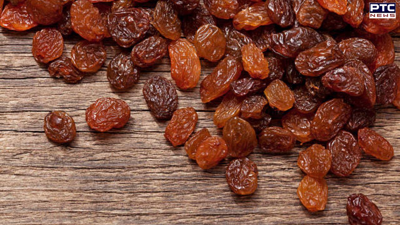 5 Reasons to Eat Raisins Every Day  Stories PTC News