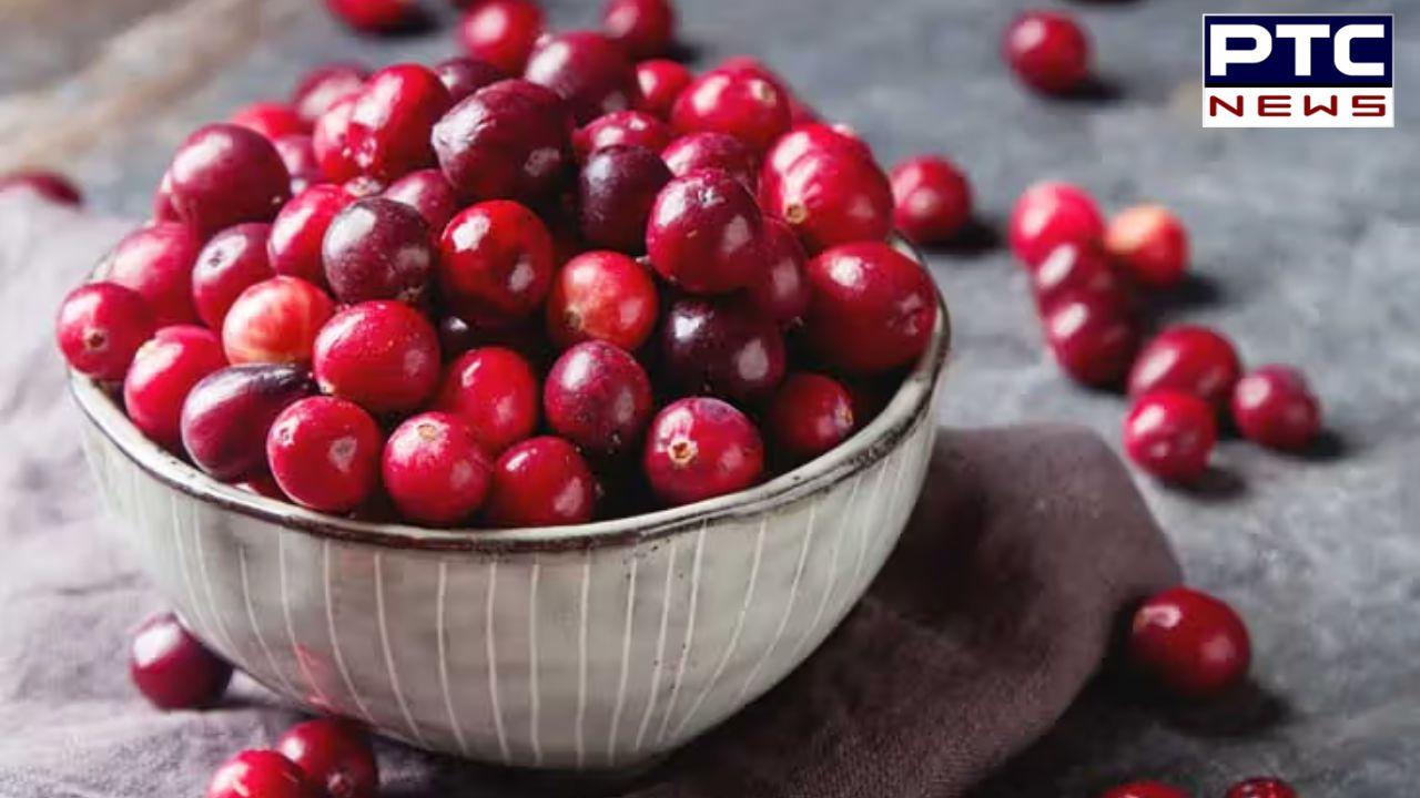 Cranberry Benefits : ਸਰਦੀਆਂ ’ਚ ਕਈ ਬਿਮਾਰੀਆਂ ਦਾ ਹੱਲ ਹੈ ਇੱਕ ਫਲ, ਜਾਣੋ ਕਿਵੇਂ