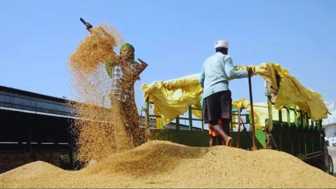 Haryana: हरियाणा राइस मिलर्स की हड़ताल खत्म, मिलिंग शुल्क नहीं बढ़ा तो खुद बोनस दे सकती है राज्य सरकार
