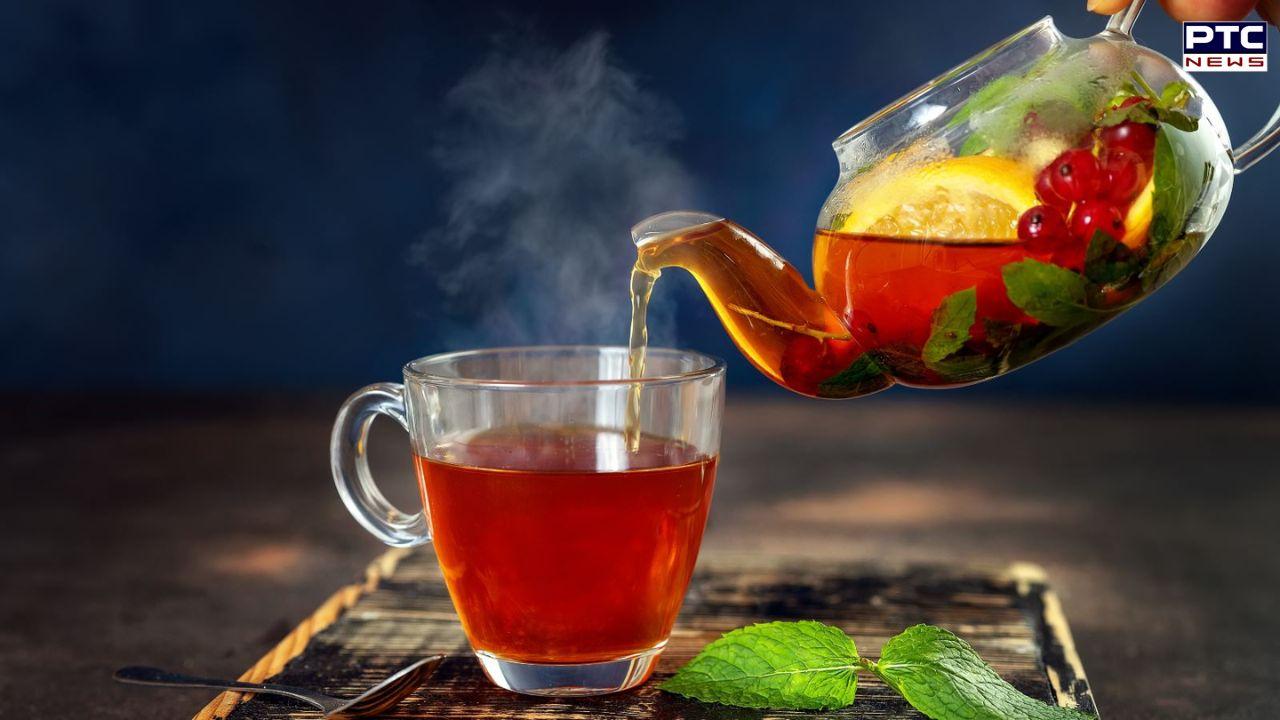 Stay Healthy This Winter Top 5 Herbal Drinks for Immunity 