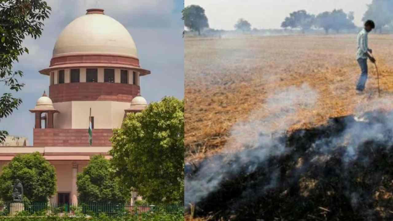 Delhi Air Pollution: पराली जलाने को लेकर SC ने पंजाब-हरियाणा को लगाई फटकार, कही ये बात