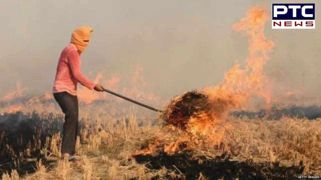 Stubble Burning Case In Punjab  : ਪੰਜਾਬ ’ਚ ਦਿਨੋਂ ਦਿਨ ਵਧ ਰਹੇ ਪਰਾਲੀ ਸਾੜਨ ਦੇ ਮਾਮਲੇ, ਤਾਜ਼ਾ ਅੰਕੜਿਆਂ ਨਾਲ ਉੱਡ ਜਾਣਗੇ ਹੋਸ਼ !