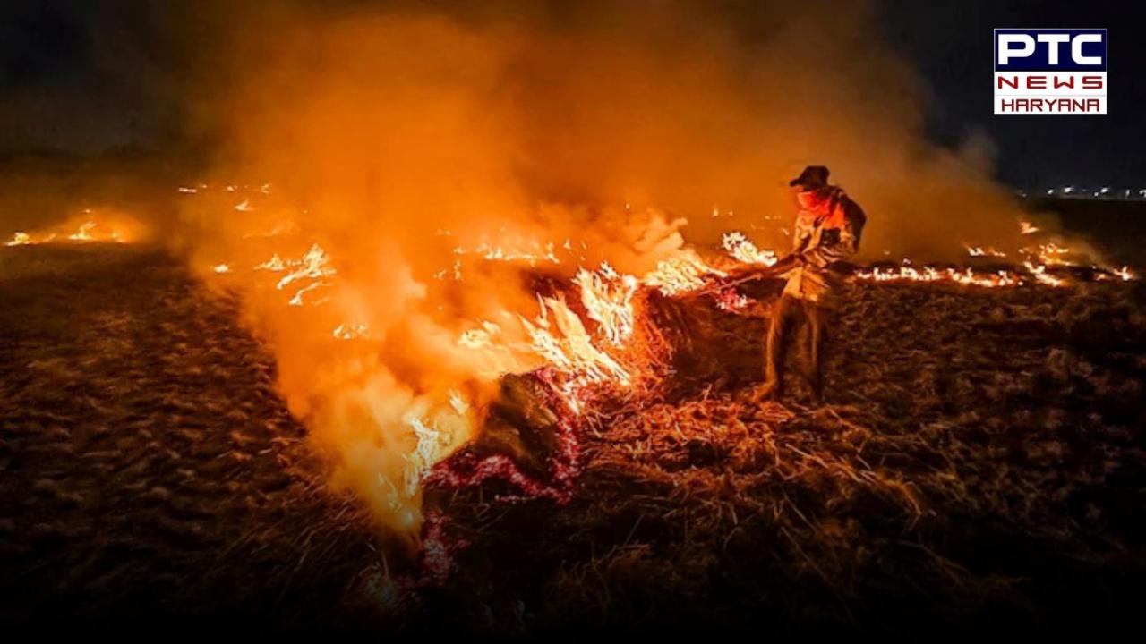 पराली जलाने के मामलों में पंजाब ने हरियाणा से किया बेहतर प्रबंधन, दर को कम करने में पंजाब से पीछे हुआ हरियाणा, जलाने के मामले पंजाब में ज्यादा !