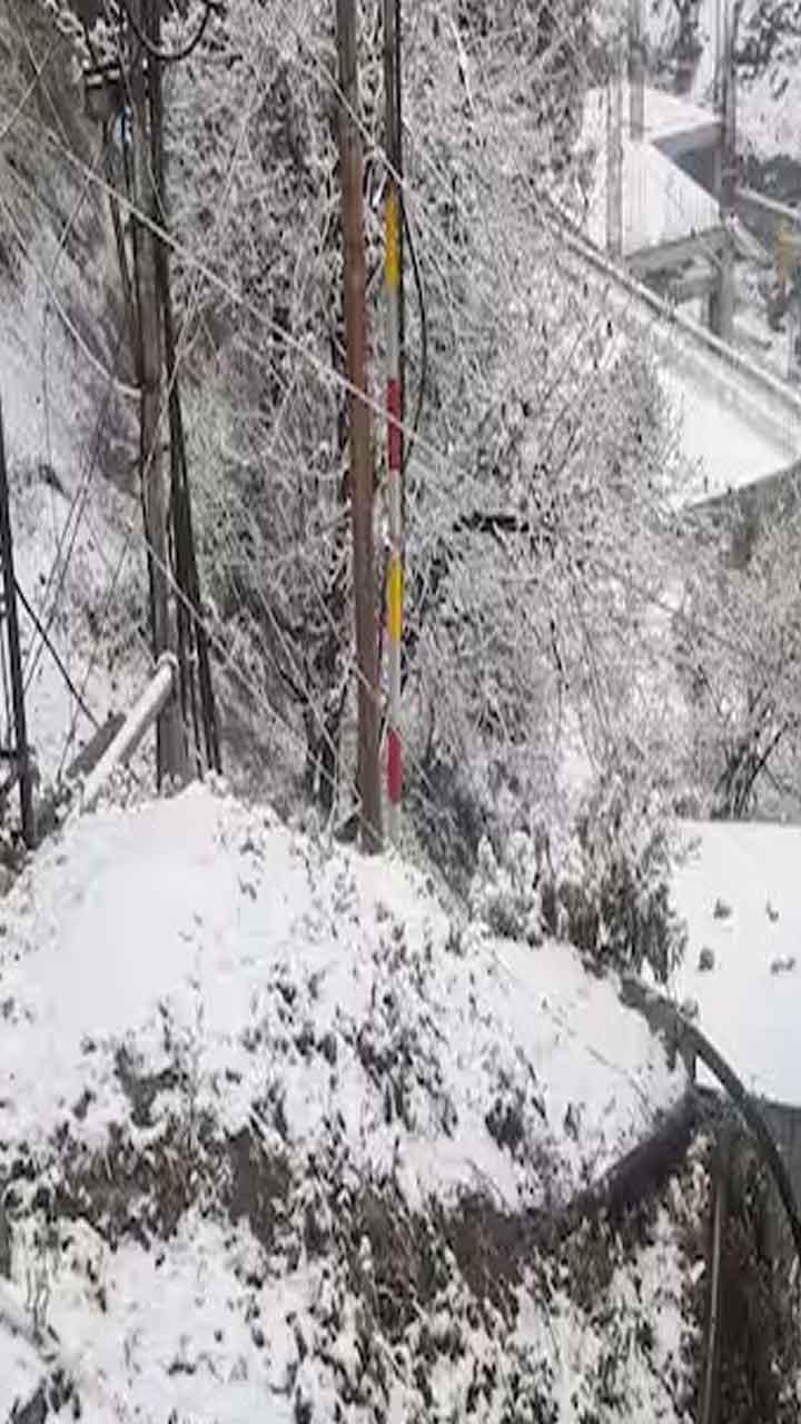 Snowfall in Shimla: ਸ਼ਿਮਲਾ 'ਚ ਬਰਫਬਾਰੀ ਕਾਰਨ ਮੌਸਮ ਹੋਇਆ ਸੁਹਾਵਣਾ, ਸੈਲਾਨੀ ਮਨਾ ਰਹੇ ਹਨ ਖੁਸ਼ੀਆਂ, ਵੇਖੋ ਤਸਵੀਰਾਂ