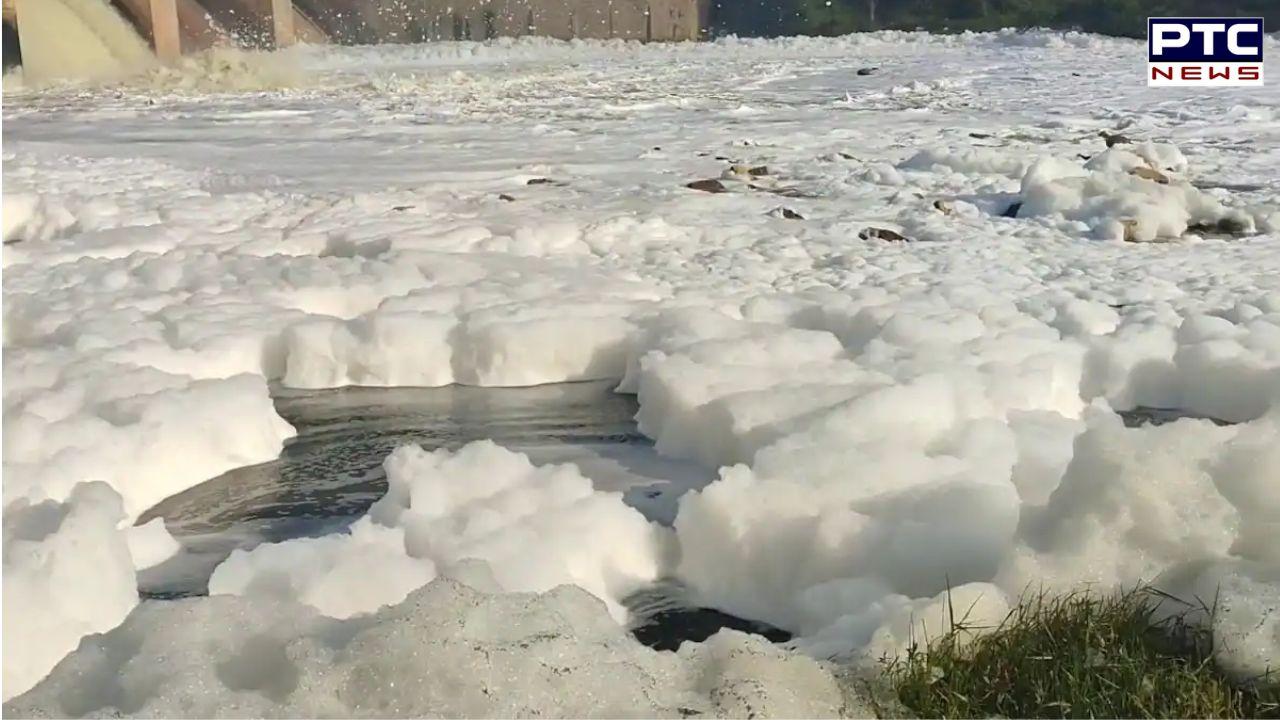 Alarming: Toxic foam covers South Pennai river near Hosur in Tamil Nadu; environmental concerns mount