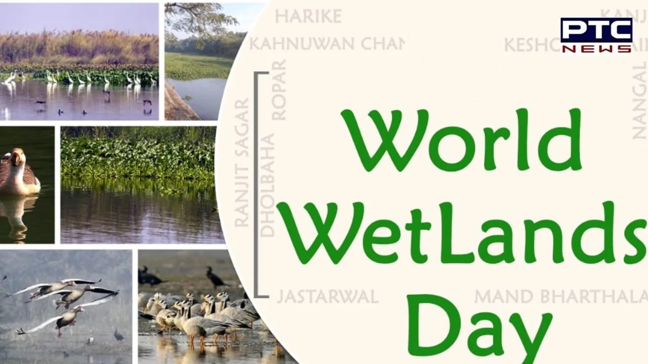 Wetlands Day: ਜਾਣੋ ਕਿਉਂ ਮਨਾਇਆ ਜਾਂਦੈ ਇਹ ਦਿਨ ਅਤੇ ਕਿਹੜੇ ਹਨ ਪੰਜਾਬ ਦੇ ਅੰਤਰਰਾਸ਼ਟਰੀ ਮਹੱਤਤਾ ਵਾਲੇ ਵੈਟਲੈਂਡਜ਼