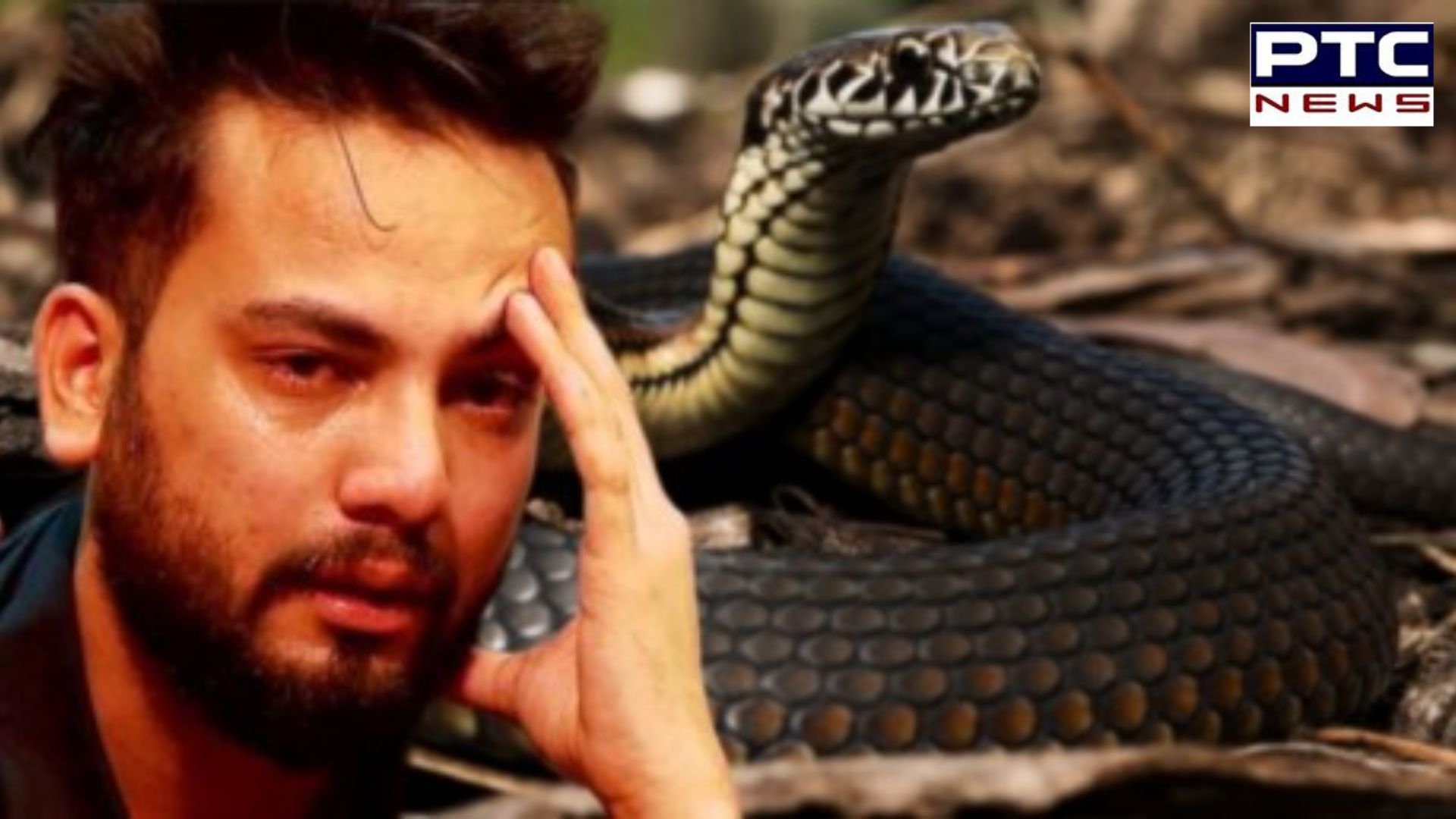 Snake venom case: Big relief for Elvish Yadav as Gurugram Court grants bail in rave party case