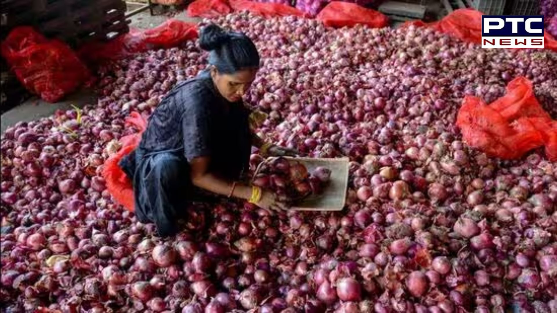 Onion: ਕਿਸਾਨਾਂ ਲਈ ਵੱਡੀ ਖ਼ਬਰ, ਸਰਕਾਰ ਨੇ ਪਿਆਜ਼ ਤੋਂ ਨਿਰਯਾਤ ਪਾਬੰਦੀ ਹਟਾਈ