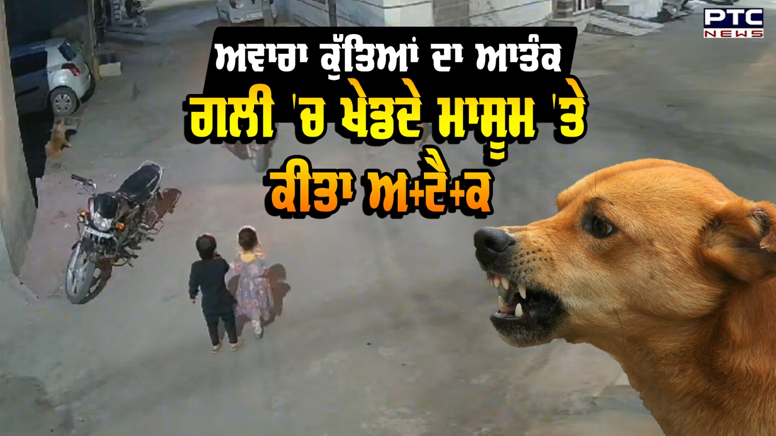 Stray Dogs Attack: ਅਵਾਰਾ ਕੁੱਤਿਆਂ ਦਾ ਆਤੰਕ, ਗਲੀ 'ਚ ਖੇਡਦੇ ਮਾਸੂਮਾਂ 'ਤੇ ਕੀਤਾ ਹਮਲਾ