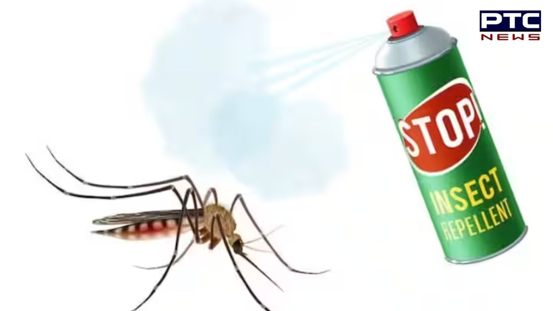Mosquito Repellent Spray: ਘਰ 'ਚ ਬਣਾਓ ਕੁਦਰਤੀ ਮੱਛਰ ਭਜਾਉਣ ਵਾਲੀ ਸਪਰੇਅ, ਜਾਣੋ ਤਰੀਕਾ